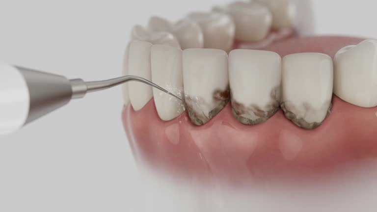 Reliable Dental contractor in Peru, IL by Dentist Open Now